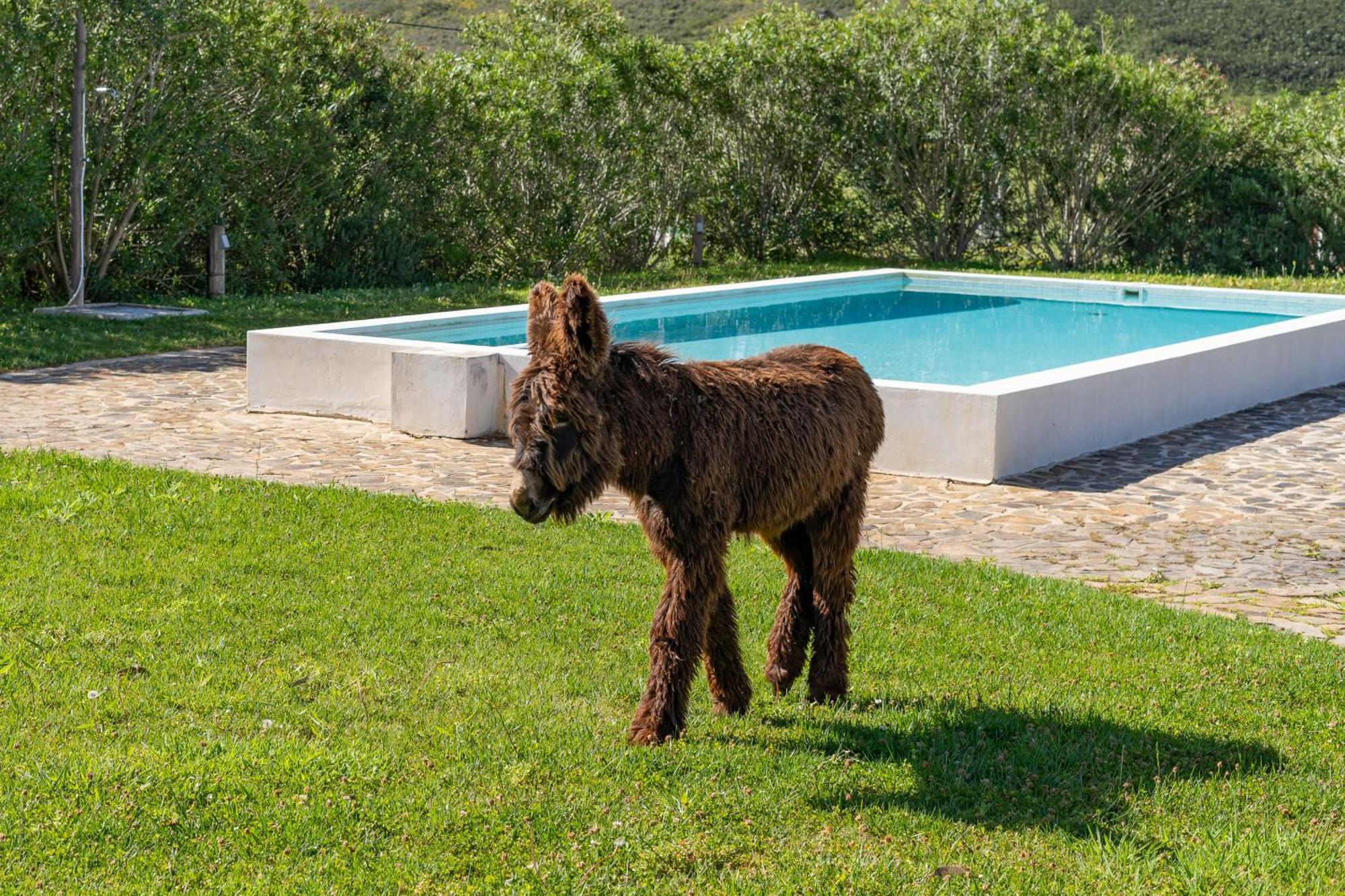 Burro Ville By Host Wise Portimão Exterior photo